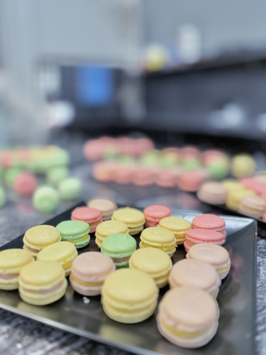 Macaron készítő kurzus